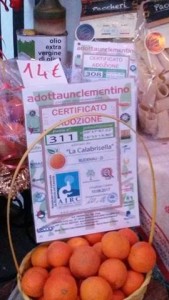 Grande festa degli emigrati calabresi in Germania in onore delle Clementine di Corigliano