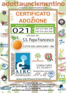 Le Clementine di Corigliano Calabro sulla tavola di Papa Francesco