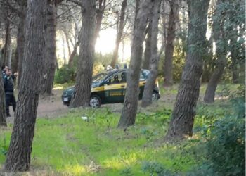 Le Guardie Ecozoofile hanno dato il via a una campagna di vigilanza a tutela del patrimonio forestale