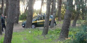 Le Guardie Ecozoofile hanno dato il via a una campagna di vigilanza a tutela del patrimonio forestale