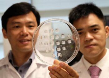 Lotta all’obesità: arriva il Cerotto per combattere l’eccesso di grasso corporeo