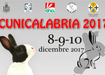 Oggi, gli Allevatori del Sud Italia a Montalto Uffugo per Cunicalabria 2017