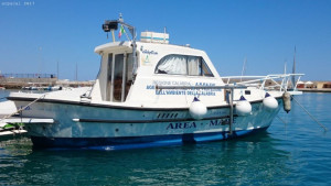 Scoperta sensazionale nella baia di Nicotera Calafuria