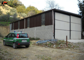 Scoperto capannone rurale abusivo a San Mauro Marchesato, denunciati due fratelli