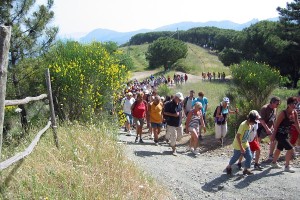 Turismo sostenibile, domenica trekking sul monte Campanaro con I Viaggi del Goel