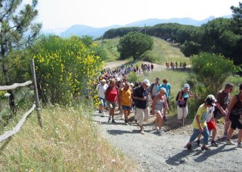Turismo sostenibile, domenica trekking sul monte Campanaro con I Viaggi del Goel
