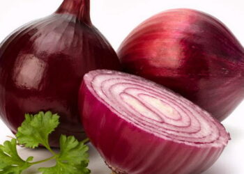 Uno splendido anno per la “Cipolla Rossa di Tropea Calabria IGP”