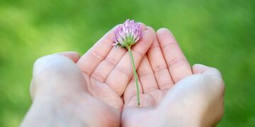 Italiani popolo generoso: il 64% fa beneficenza