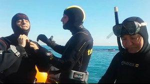 Concluse le prime immersioni nel tratto di mare antistante Torre Melissa svolte dalla Soprintendenza Archeologica