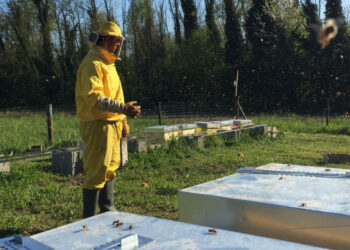 Francesco Capoano si aggiudica il Primo posto al 5° Concorso Apedoro Grandi Mieli di Lombardia