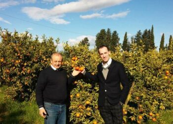 Le Clementine di Corigliano Calabro a Sanremo nella settimana del Festival
