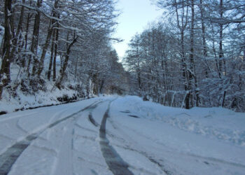 Piano neve della Prefettura di Crotone, interventi di gestione criticità viarie nelle aree montane