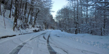 Piano neve della Prefettura di Crotone, interventi di gestione criticità viarie nelle aree montane