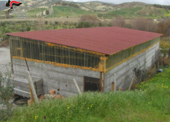 Sequestrato capannone rurale abusivo a Strongoli, denunciato 43 enne
