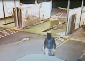 Tenta di rapinare un autolavaggio mascherato da topo