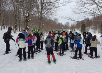 Alla scoperta del Lupo in Sila sulle Ciaspole