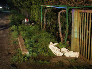 Andrea Forciniti muore nell’ennesimo incidente mortale sulla SS106 (3)