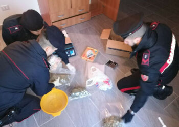 Blitz dei Carabinieri in zona Tufolo a Crotone, arrestato 29enne per possesso di 1,200 chili di droga