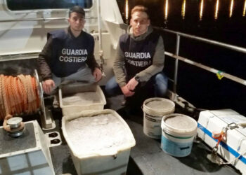 Bloccato furgone sulla SS106 con 150 chili di bianchetto, sequestro e multa per 12 mila euro