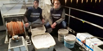 Bloccato furgone sulla SS106 con 150 chili di bianchetto, sequestro e multa per 12 mila euro