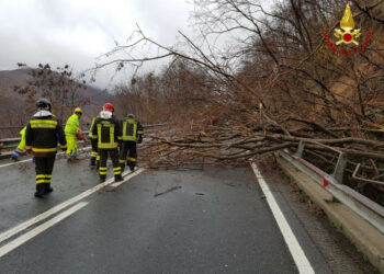 Chiusa la SS107, causa caduta alberi in prossimità del paese di San Fili