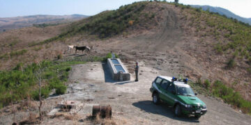 Fa pascolare abusivamente mucche nel territorio di Savelli, denunciato allevatore di San Giovanni in Fiore