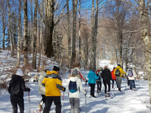 Legambienete Sila nella Giornata mondiale delle zone umide chiede maggiore tutela dei sistemi acquatici (1)