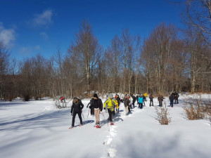 Legambienete Sila nella Giornata mondiale delle zone umide chiede maggiore tutela dei sistemi acquatici (2)