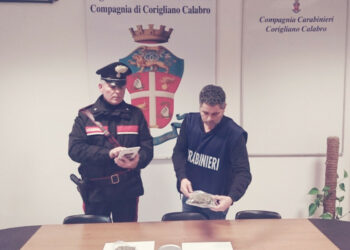 Nasconde la Droga nella spazzatura ma i Carabinieri lo scoprono, arrestato con oltre 200 gr di marijuana