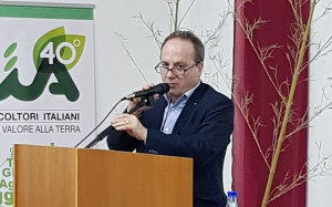 Nicodemo Podella confermato presidente Cia Agricoltori Italiani della Calabria (1)