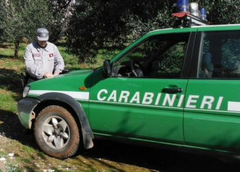 Petilia Policastro: Realizza una pista e una gradonatura non autorizzate, denunciato il responsabile