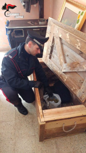 Petilia e Cotronei, due arresti ed una persona denunciata per detenzione e spaccio di sostanze stupefacenti (2)