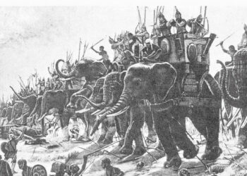 Pietrapaola, il 25 febbraio Giornata Ecologica per la Salvaguardia e la Valorizzazione dei nostri luoghi