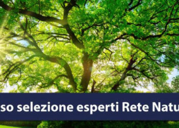 Regione Calabria: Avviso per selezione esperti Rete Natura 2000
