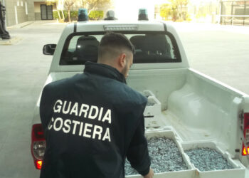 Sequestrato 20 chili di bianchetto nei pressi del mercato comunale di Crotone