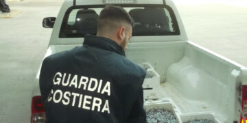 Sequestrato 20 chili di bianchetto nei pressi del mercato comunale di Crotone