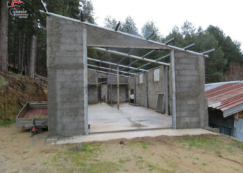 Costruisce un manufatto abusivo nella Pineta, sequestrato e denunciata la responsabile