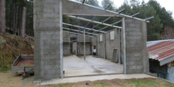 Costruisce un manufatto abusivo nella Pineta, sequestrato e denunciata la responsabile