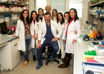 Catanzaro: Scoperto il “gene” necessario per la rigenerazione del cuore dopo un infarto