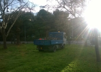 Comune di Crotone: Si lavora alla riqualificazione dei parchi pubblici della città