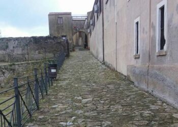 Crotone, Riqualificazione del verde pubblico: un passo alla volta, azione specifica presso il Castello CarloV