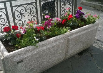 Crotone, con #unpassoallavolta coloriamo la nostra città. L’attività di riqualificazione del verde pubblico