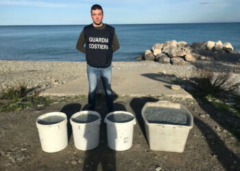 Guardia Costiera e Finanza sequestrano 2 quintali di bianchetto sulla SS106. Multe per 25 mila euro