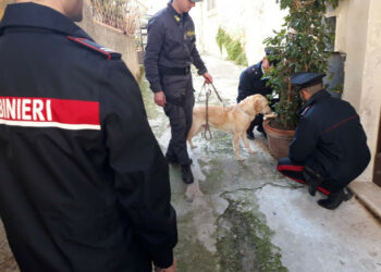 Rinvenuta droga in un edificio abbandonato nel centro storico di Crotone