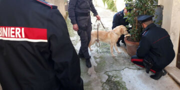 Rinvenuta droga in un edificio abbandonato nel centro storico di Crotone