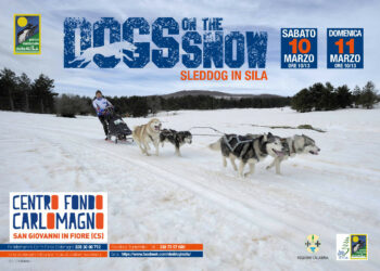 Torna nel Parco Nazionale della Sila lo “Sleddog”, la corsa con cani da slitta più a sud d’Europa
