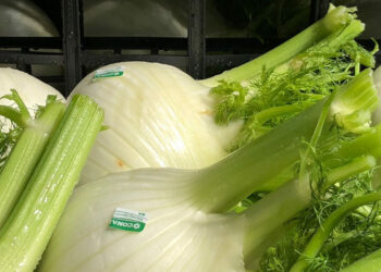 I Finocchi di Isola Capo Rizzuto etichettati “Glifosate Zero”