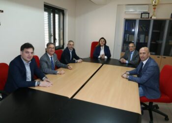 Anna Maria Oppido riconfermata presidente del Consiglio Direttivo dei Geometri di Crotone