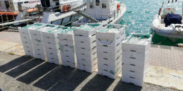 Cirò Marina: Trasportava su un furgone “bianchetto” sulla SS106, fermato e multato dalla Capitaneria di Porto