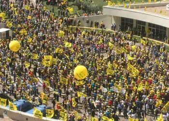 Coldiretti: il TAR Calabria ha disposto l’annullamento parziale del Piano Straordinario per l’accreditamento regionale per la vescicolare suina